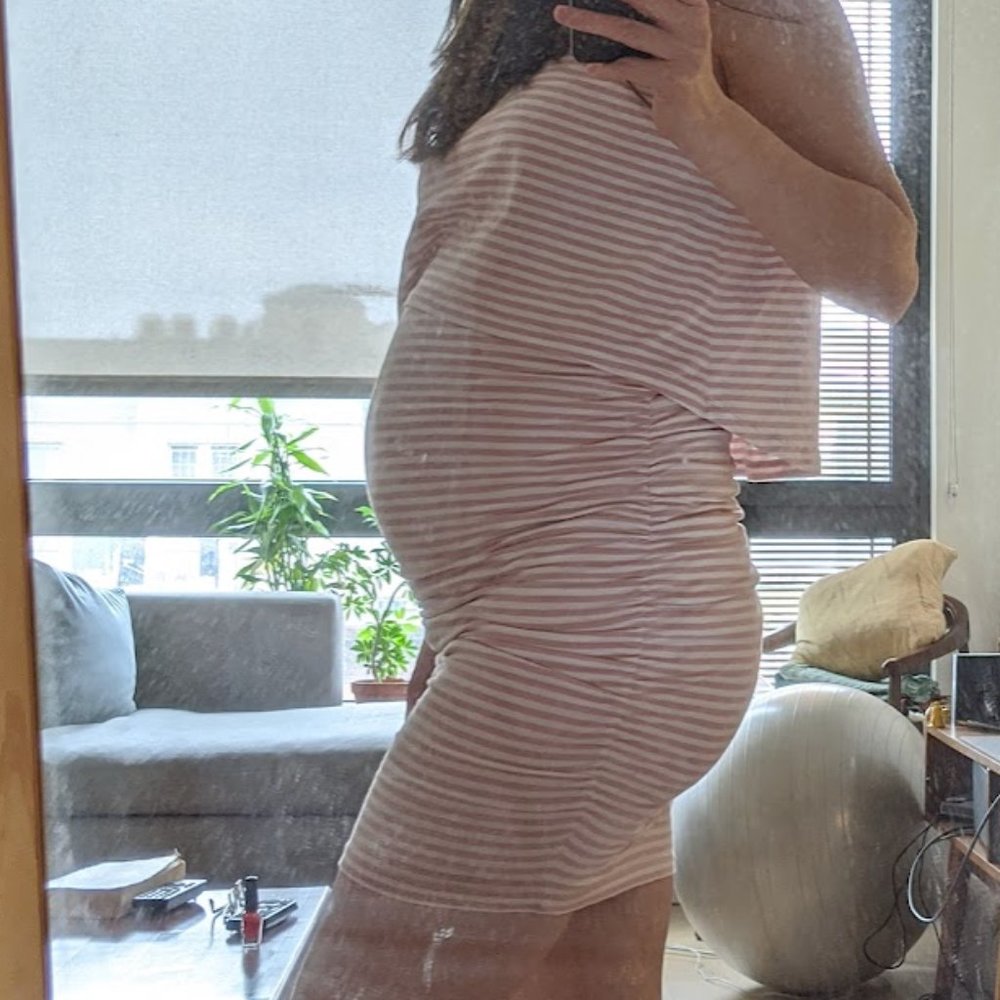 Bae The Label - Rising Sun Nursing and Maternity Dress - Small